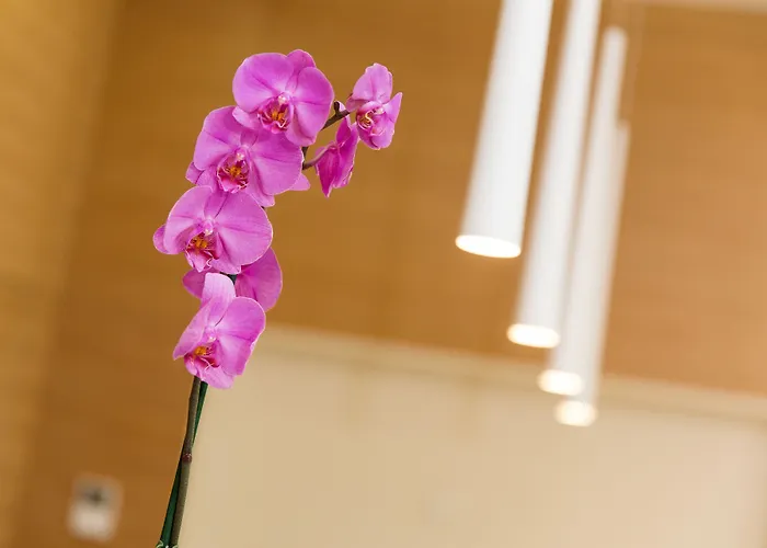 Hotel Crikvenica 4* ツリクヴェニツァ