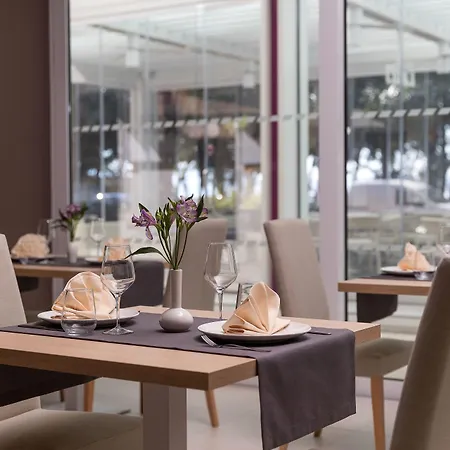 Hotel Crikvenica 茨里克韦尼察